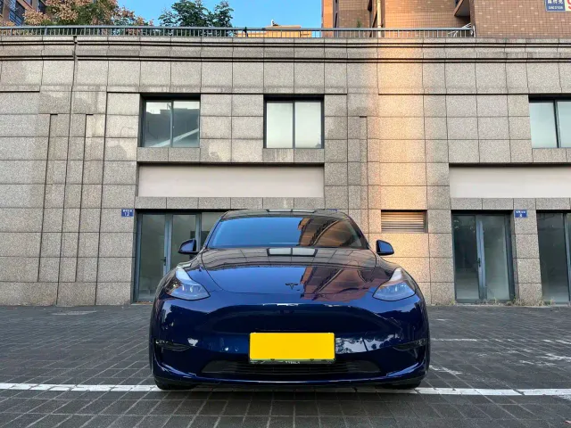 Tesla Model Y — Фото автомобиля 3