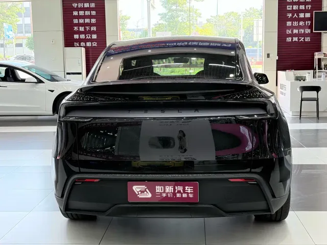 Tesla Model Y — Фото автомобиля 10