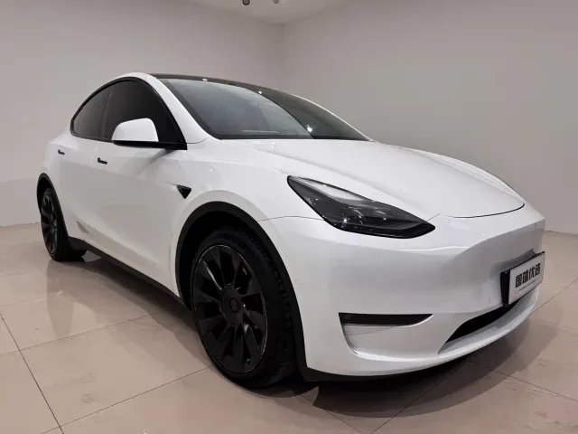 Tesla Model Y — Фото автомобиля 3