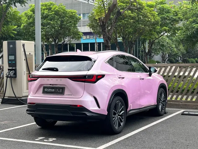 Lexus NX — Фото автомобиля 18