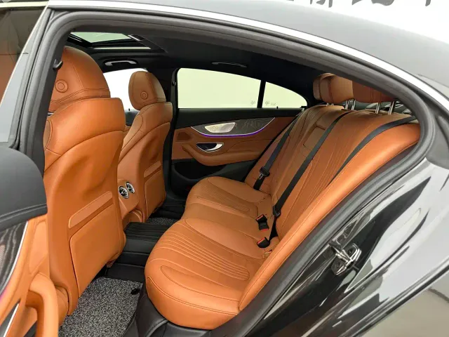 Mercedes-Benz CLS-Class — Фото автомобиля 6