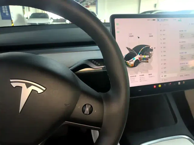 Tesla Model Y — Фото автомобиля 13
