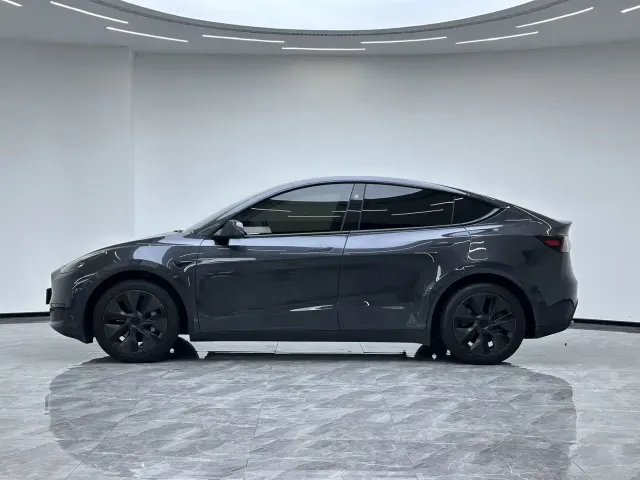 Tesla Model Y — Фото автомобиля 20