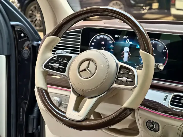 Mercedes-Benz Maybach GLS 2021 GLS 600 4MATIC Etiquette Edition — Фото автомобиля 23
