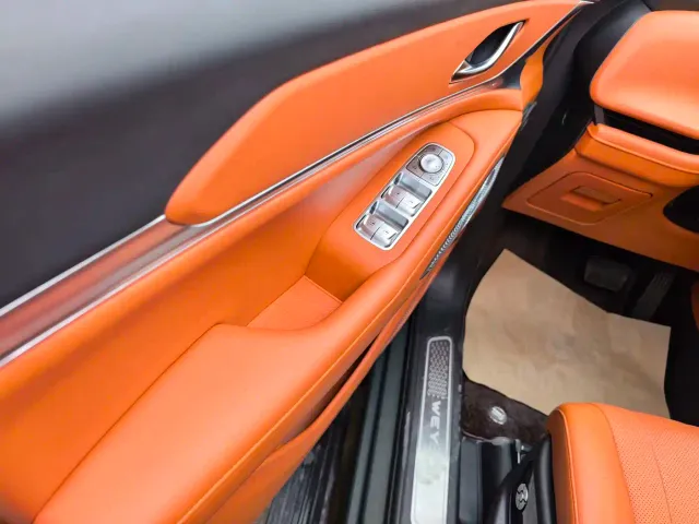 Wey Lanshan — Фото автомобиля 7