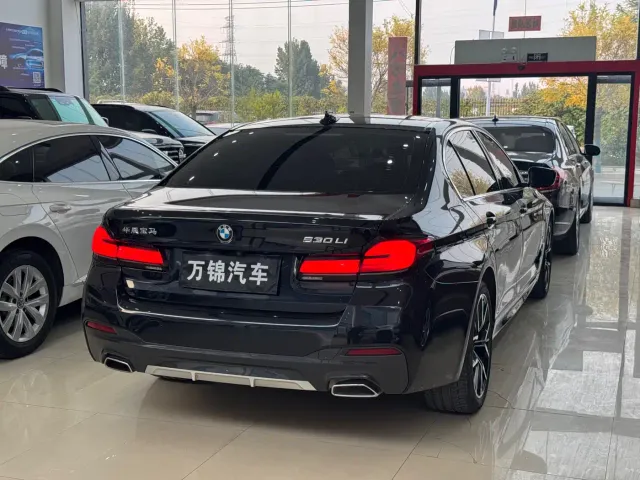 BMW 5 Series — Фото автомобиля 6