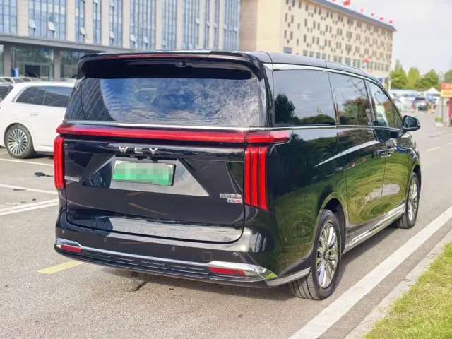 Wey Alpine — Фото автомобиля 17