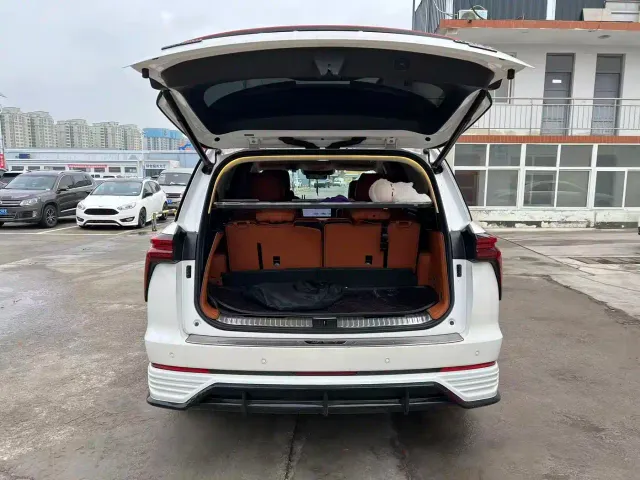 Wey Lanshan — Фото автомобиля 10