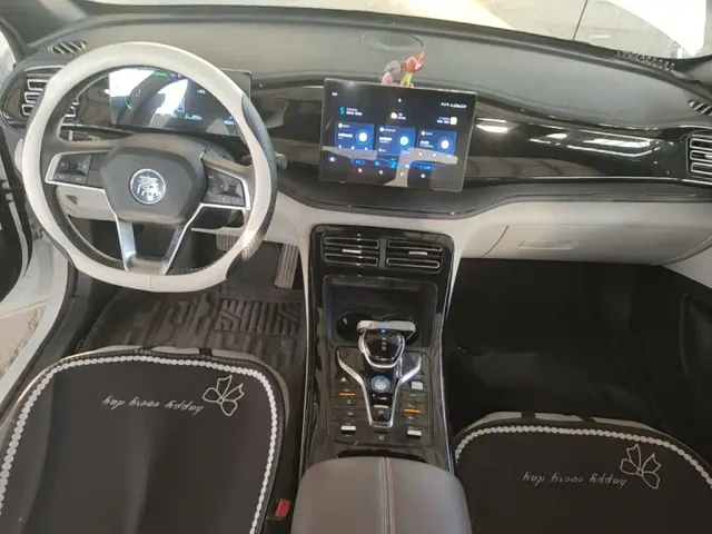 BYD Qin PLUS — Фото автомобиля 12