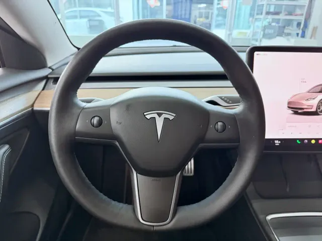 Tesla Model 3 — Фото автомобиля 12