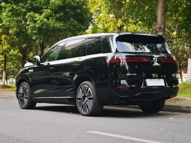 Denza N8L — Фото автомобиля 16