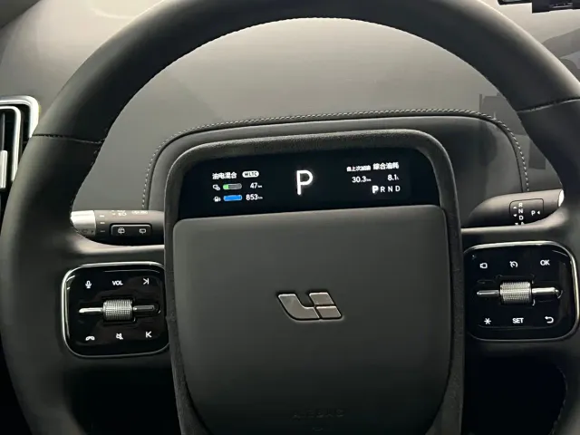 Li Auto L9 — Фото автомобиля 15