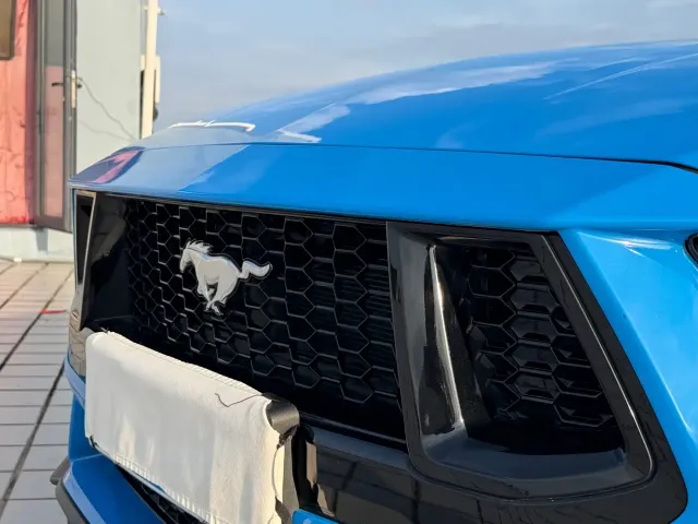 Ford Mustang — Фото автомобиля 14