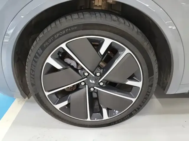 Li Auto L9 — Фото автомобиля 22