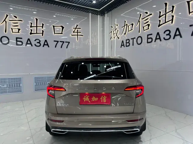 Skoda Karoq — Фото автомобиля 6