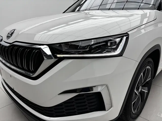 Skoda Kamiq — Фото автомобиля 8