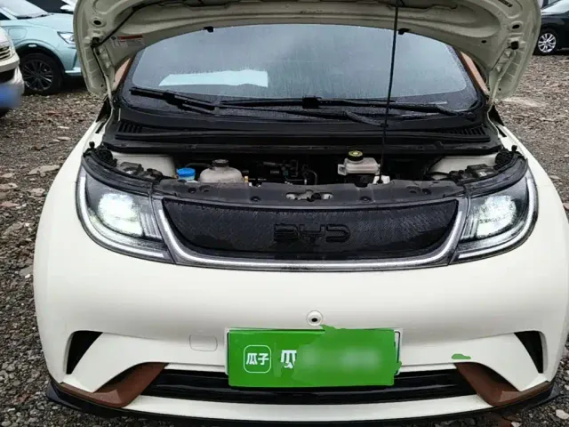 BYD Dolphin — Фото автомобиля 19