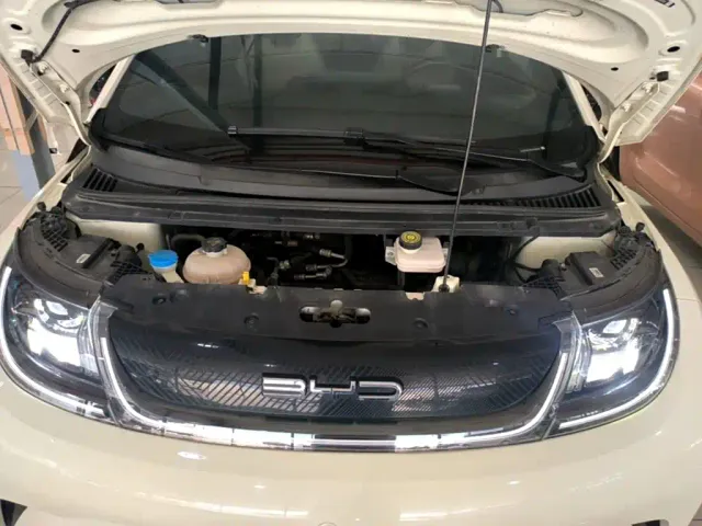 BYD Dolphin — Фото автомобиля 15