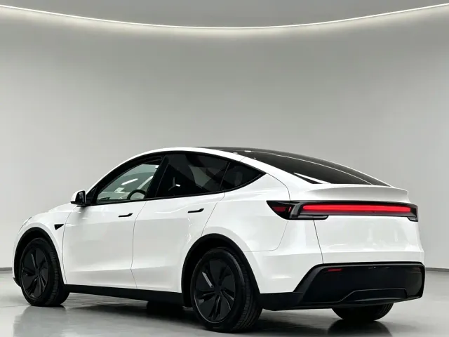 Tesla Model Y — Фото автомобиля 9