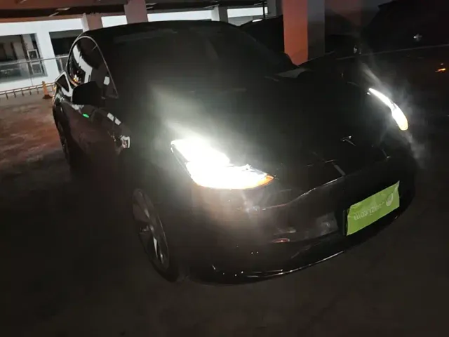 Tesla Model Y — Фото автомобиля 3