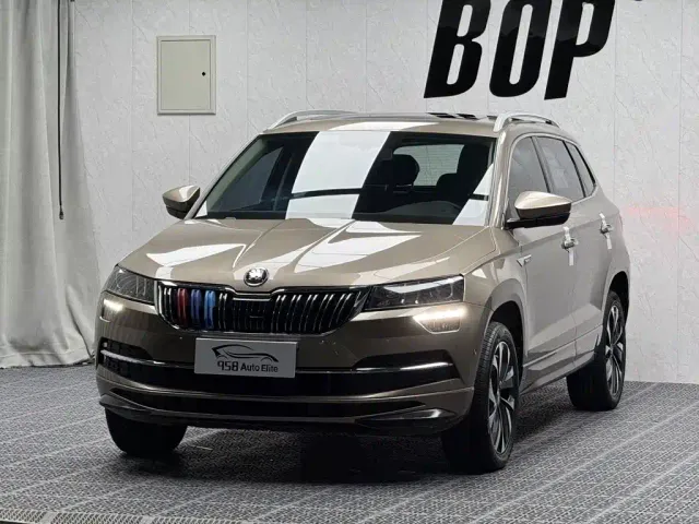 Фотография автомобиля — Skoda Karoq