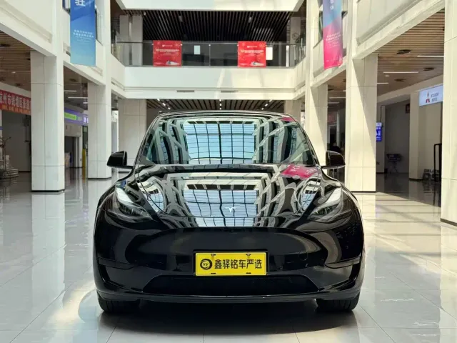 Tesla Model Y — Фото автомобиля 2