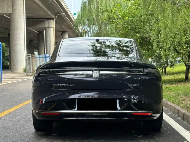 Buick Electra L7 — Фото автомобиля 5
