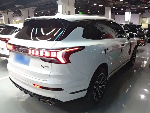 Lynk & Co 09 — Фото автомобиля 6