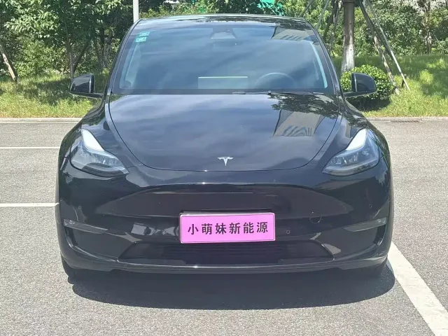 Tesla Model Y — Фото автомобиля 2