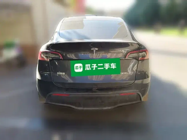 Tesla Model Y — Фото автомобиля 3