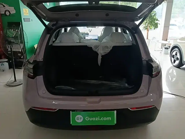 Geely Starry Wish — Фото автомобиля 18