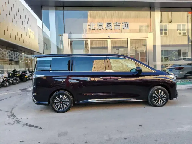 Hongqi HQ9 PHEV — Фото автомобиля 7