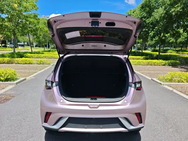 BYD Dolphin — Фото автомобиля 12