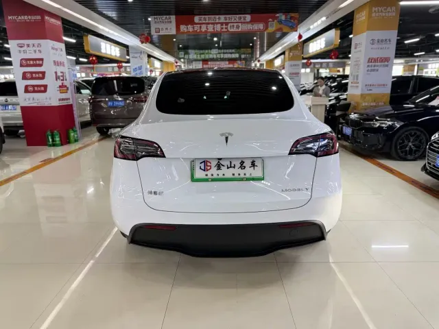 Tesla Model Y — Фото автомобиля 8