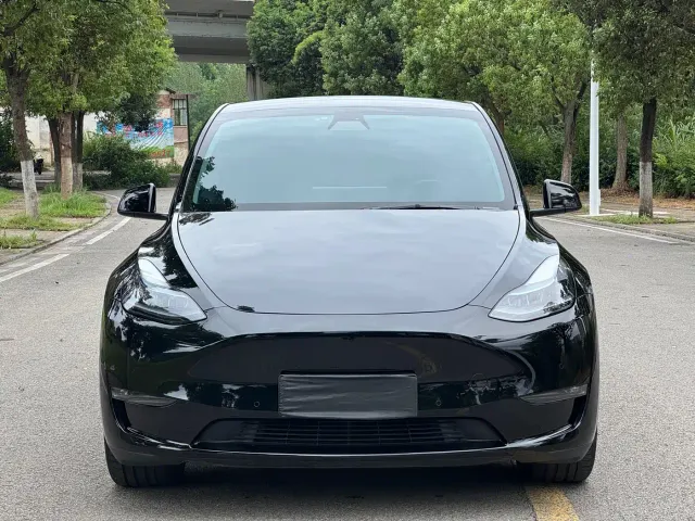 Tesla Model Y — Фото автомобиля 2