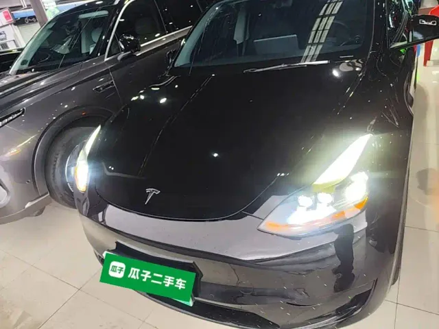 Tesla Model Y — Фото автомобиля 2