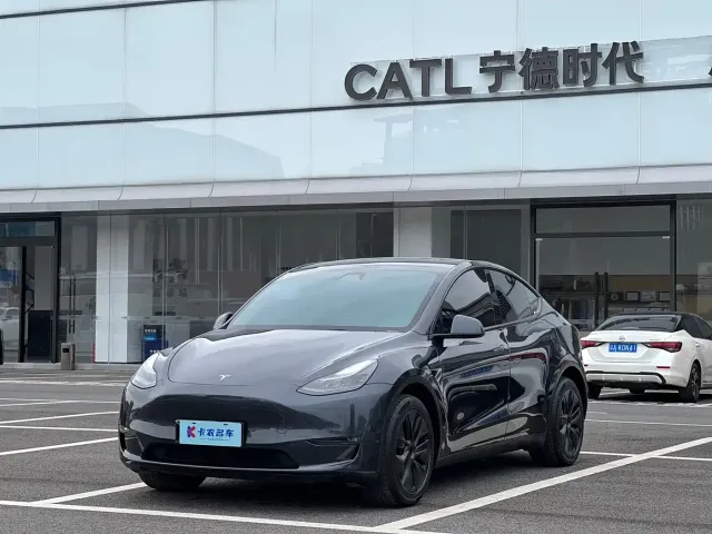 Tesla Model Y — Фото автомобиля 2