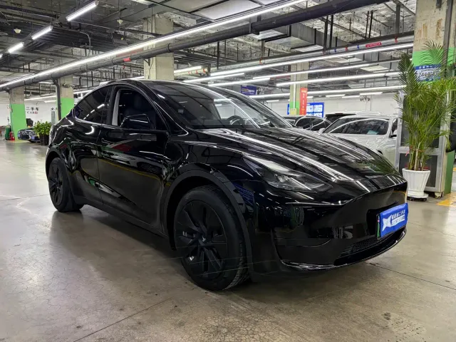 Tesla Model Y — Фото автомобиля 2