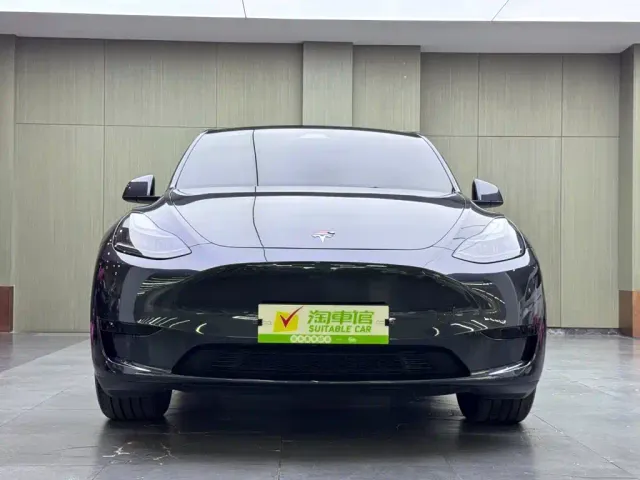 Tesla Model Y — Фото автомобиля 2