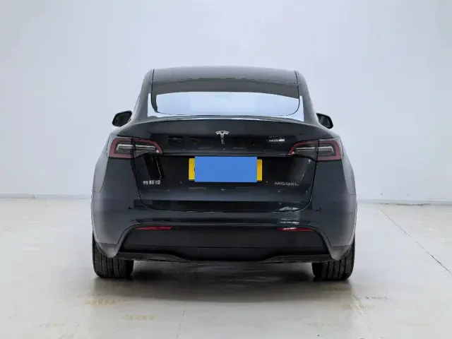 Tesla Model Y — Фото автомобиля 9