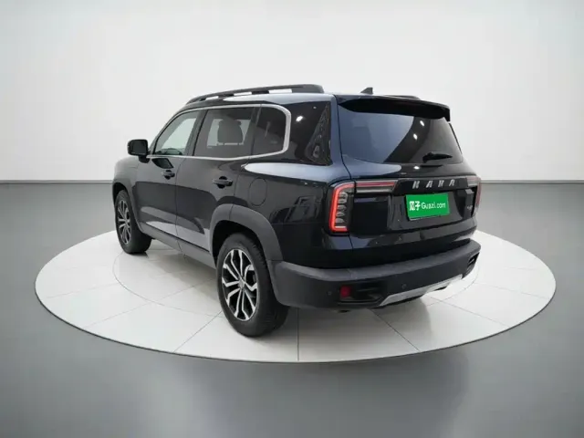Haval Haval Big Dog 2022 1.5T DCT FWD Border Collie Edition — Фото автомобиля 24
