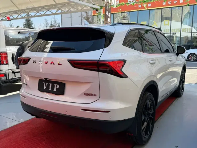 Haval H6 — Фото автомобиля 9