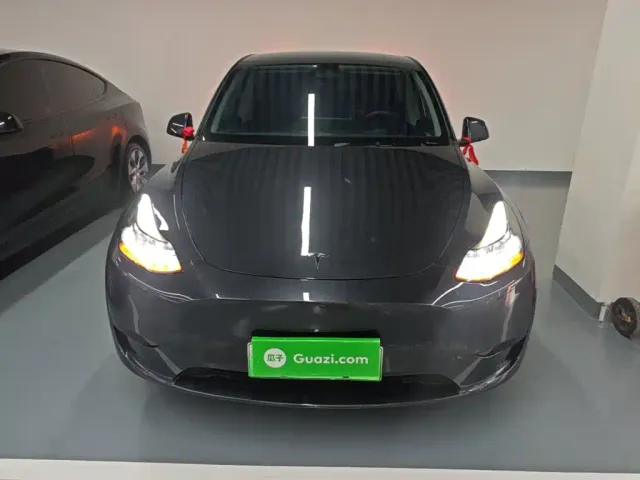 Tesla Model Y — Фото автомобиля 2