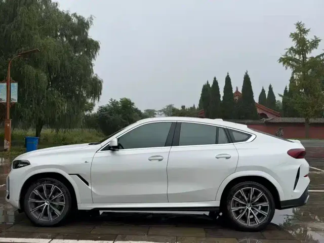 BMW X6 — Фото автомобиля 10
