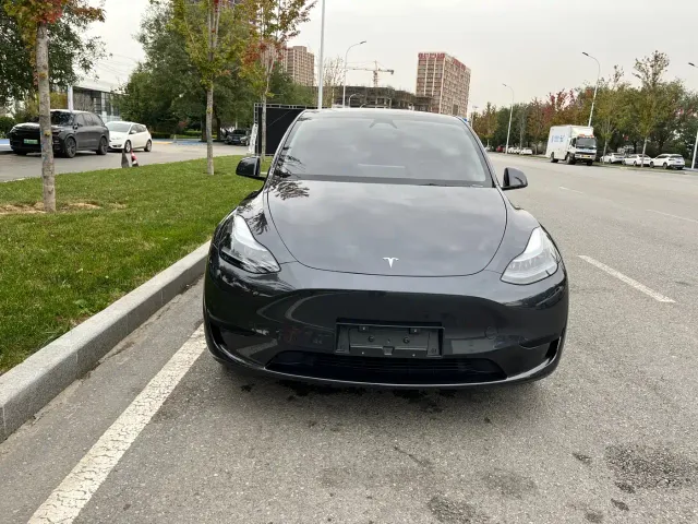 Tesla Model Y — Фото автомобиля 2