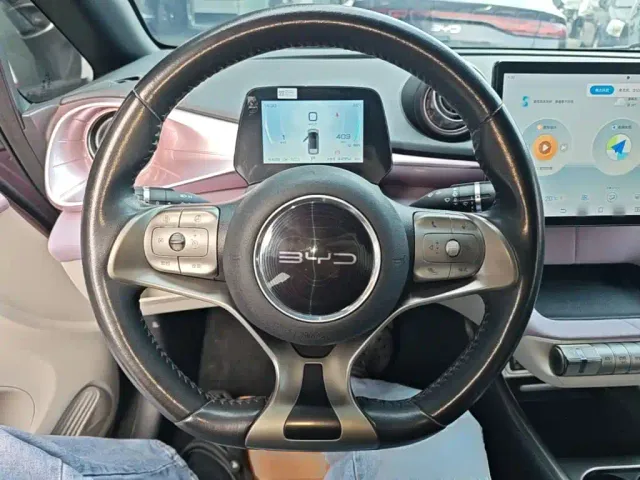 BYD Dolphin — Фото автомобиля 10