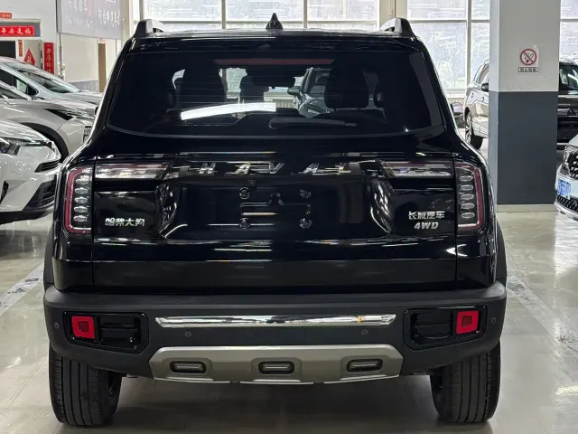 Haval Big Dog — Фото автомобиля 14
