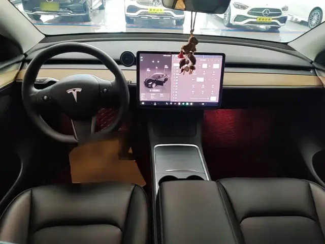 Tesla Model Y — Фото автомобиля 9