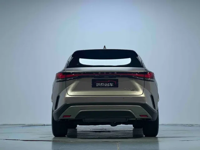 Lexus RX — Фото автомобиля 16