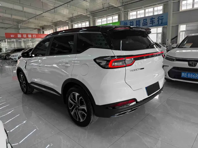 Chery Tiggo 7 PLUS — Фото автомобиля 6